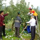 남상주농협외남지점 이미지