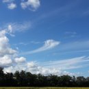 광교S2복싱다이어트 이미지