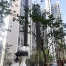 해든부동산중개 이미지