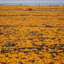 신풍목장 이미지