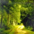 나무아래 이미지