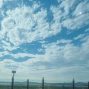 다온숲풀빛정원 이미지