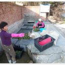 버드실샘 이미지