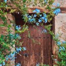 동화작가의 집 이미지