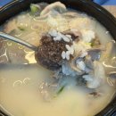 부산대역 북측공영주차장(동쪽) | 부산대역 24시간 국밥 맛집 진경가마솥돼지국밥 특모듬국밥 후기