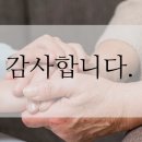 법률사무소율터