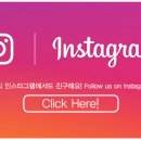 도그스토리 이미지