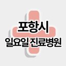 의료법인포항삼광의료재단 드림요양병원 | 포항시 주말 일요일 진료병원 리스트 (남구, 북구)