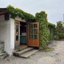 서천-13 | 수원 경희대 느좋 카페 서천 주말 방문 후기