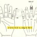 수지침 이미지
