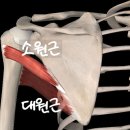 홍쌤스포츠