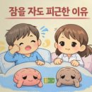 디톡더퓨어