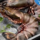 파라독스글램핑 이미지