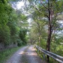 봉화산 솔바람길 이미지