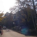 명가만두 이미지