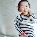 벧엘 양봉 이미지