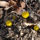 순천 서면 운평리 고분군 이미지