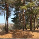 관광시설관리사업소 앞 | 청주여행 코스로 다녀온 대통령 별장, '청남대' 후기