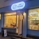 카페 도토리 샐러드 부산사직점 네이버블로그