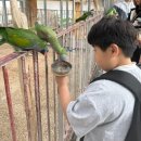 수원시장애인종합복지관 강당 | 수원시장애인종합복지관 &lt;나, 다움&gt; 비장애형제자매모임 활동 후기