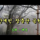 안개낀 장충단공원 - 배호 이미지