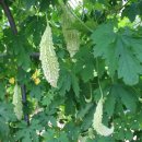 백여농장 이미지