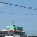 제주에 오길 잘했다 이미지