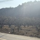 라파엘메디케어 이미지