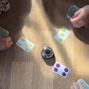 초리 포레스트 이미지