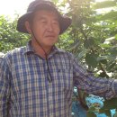 중호농장 이미지