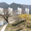 주암제 이미지