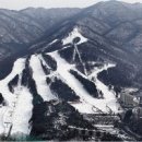 베어스 타운 이미지