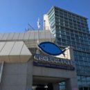 일송목장 이미지