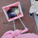 조광마트 이미지