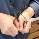 시선안경원 이미지