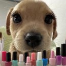 김정문알로에화원지점 | 다이소 기초템으로 올영 창업하려는 사람 ? 저예요.