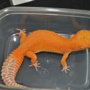 베스트 워시 이미지