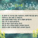 자극적이지 않아 더 재밌고 힐링됐던 오남매 연극 후기