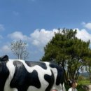 송아목장 이미지