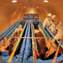 돌고래민박 이미지