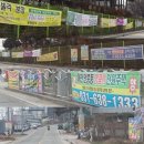 대월면사무소 이미지