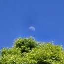 달님 - 여수시 | 달님