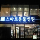 스마트동물병원 이미지