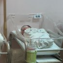 멍이랑 양이랑 | 유도분만+제왕절개 출산 후기 #06 :: 제왕절개 5일차 - 모유양 늘리는 방법, 신생아 황달 치료