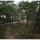 예당5일장 이미지