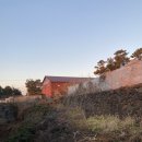 써니데이제주 이미지