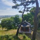 권상구 | 정자詩로 만난 인물-권상구(權尙矩)