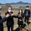 충북농업기술원 마늘연구소 이미지