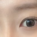 안경사랑신정점.위드렌즈 이미지