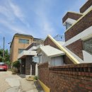 도그스쿨 이미지